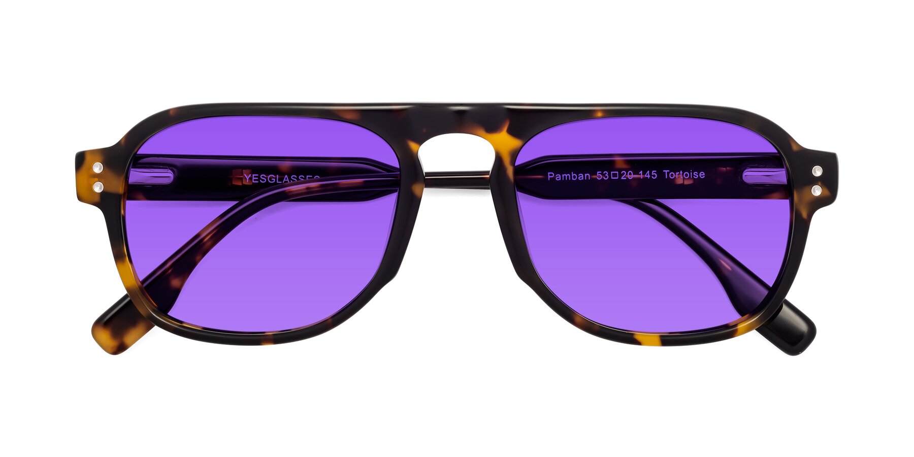 Folded Front of Pamban in Tortoise with Purple Tinted Lenses