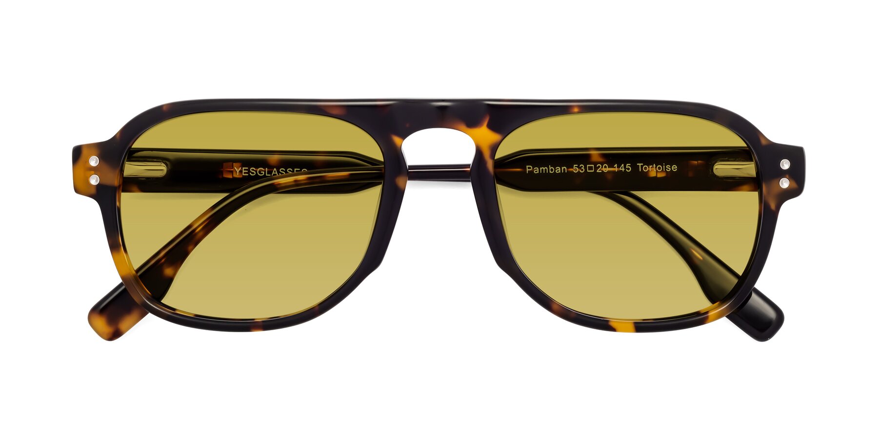 Folded Front of Pamban in Tortoise with Champagne Tinted Lenses
