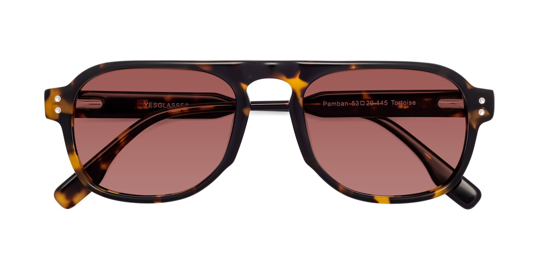 Folded Front of Pamban in Tortoise with Garnet Tinted Lenses