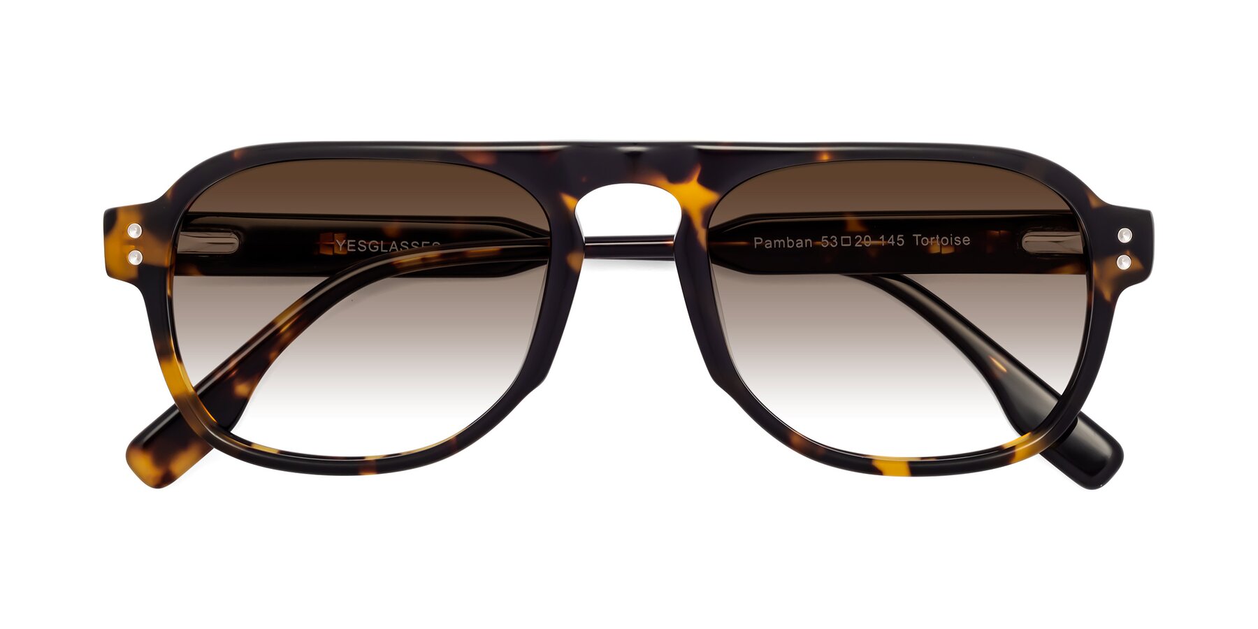 Folded Front of Pamban in Tortoise with Brown Gradient Lenses