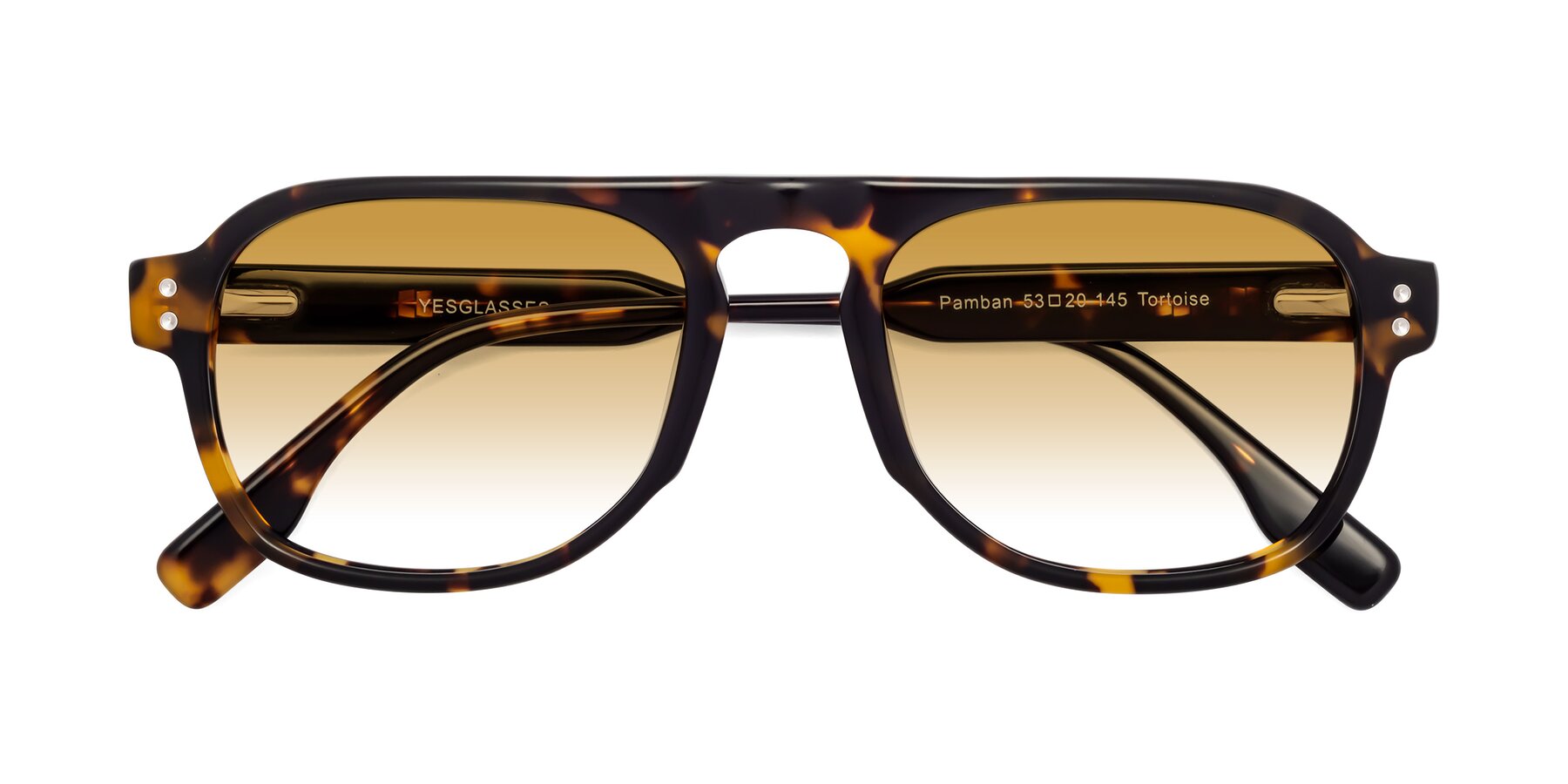 Folded Front of Pamban in Tortoise with Champagne Gradient Lenses