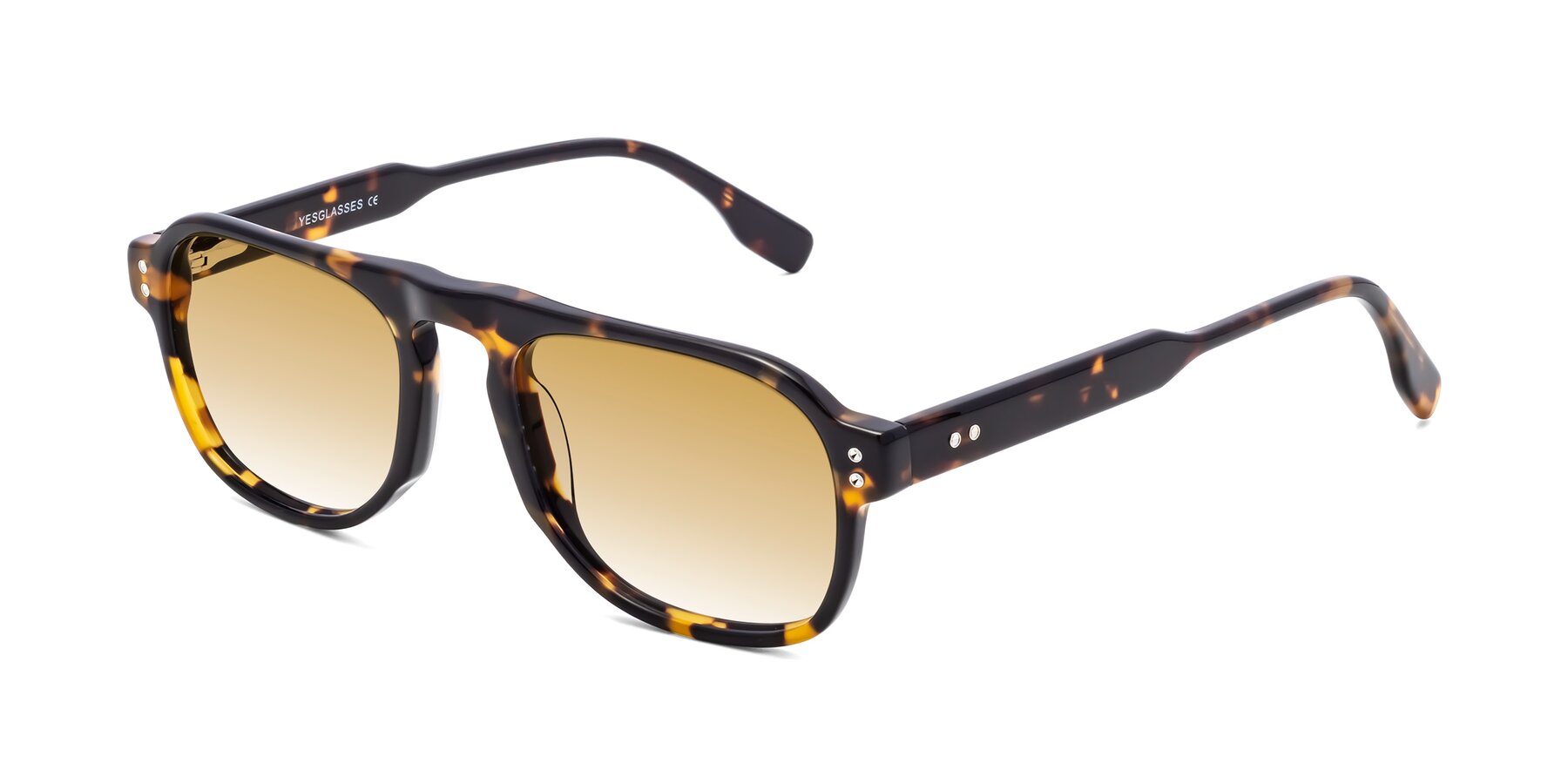 Angle of Pamban in Tortoise with Champagne Gradient Lenses