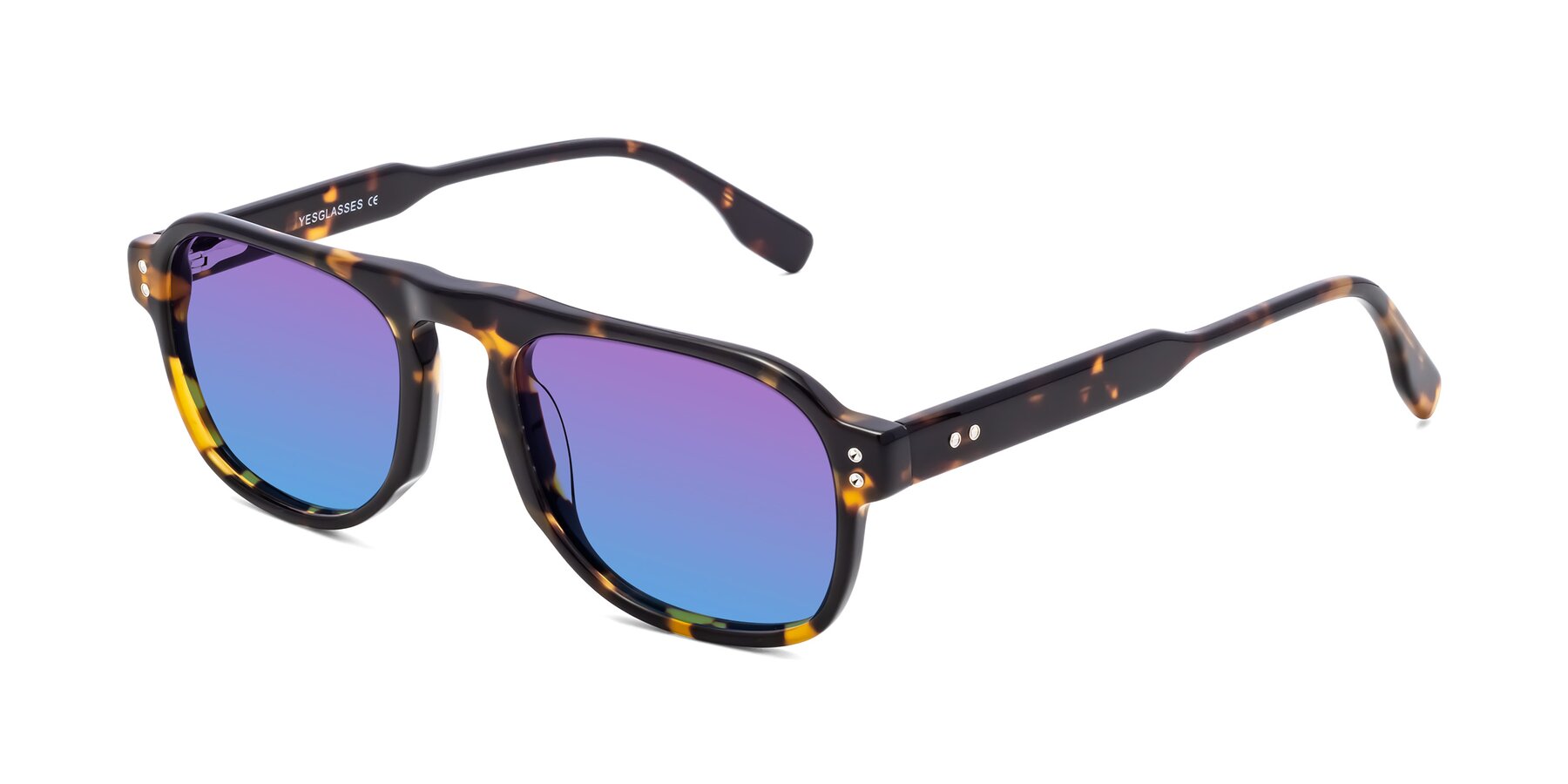Angle of Pamban in Tortoise with Purple / Blue Gradient Lenses