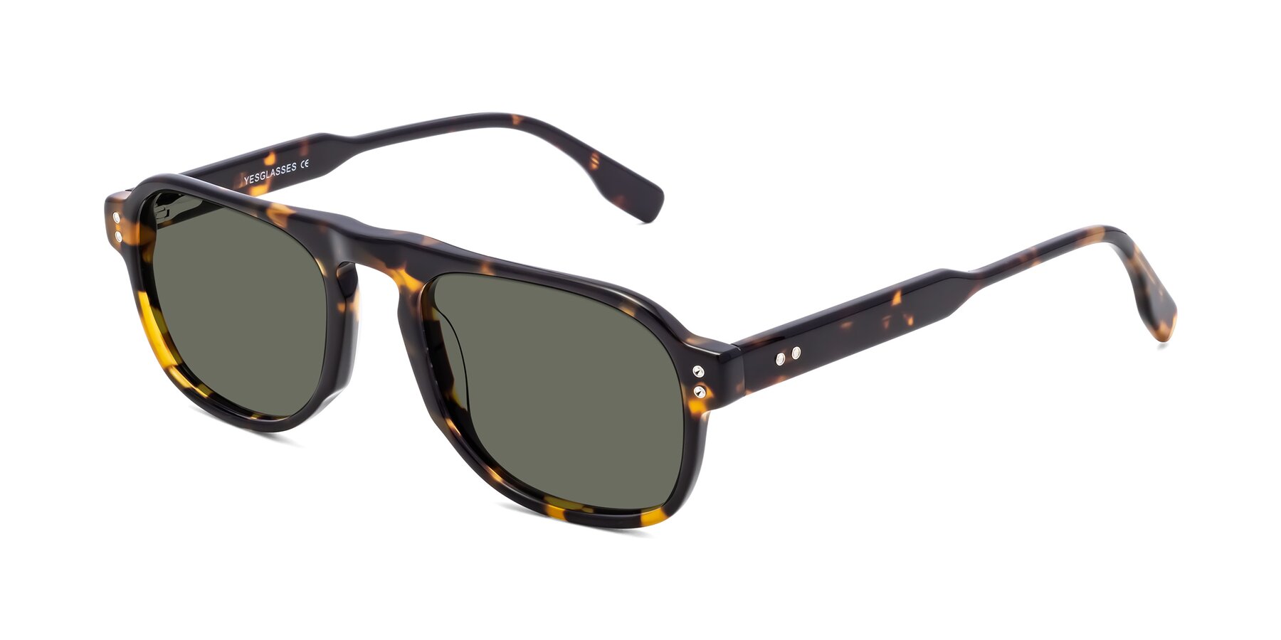 Angle of Pamban in Tortoise with Gray Polarized Lenses
