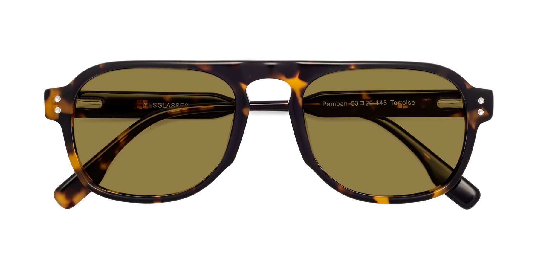 Folded Front of Pamban in Tortoise with Brown Polarized Lenses