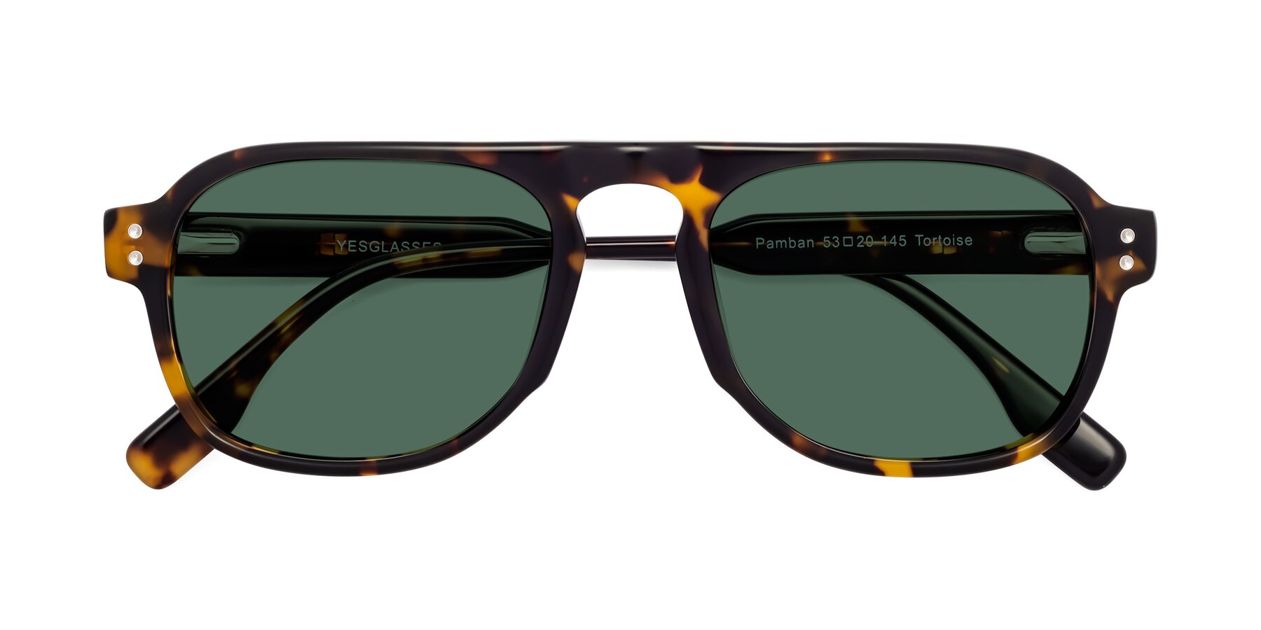 Folded Front of Pamban in Tortoise with Green Polarized Lenses