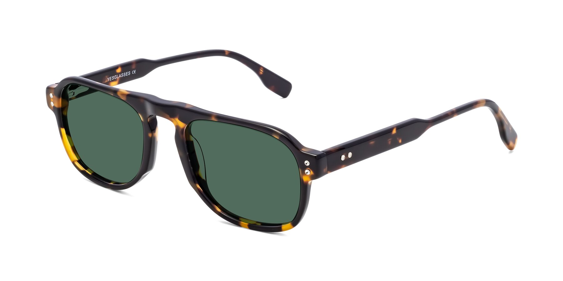 Angle of Pamban in Tortoise with Green Polarized Lenses
