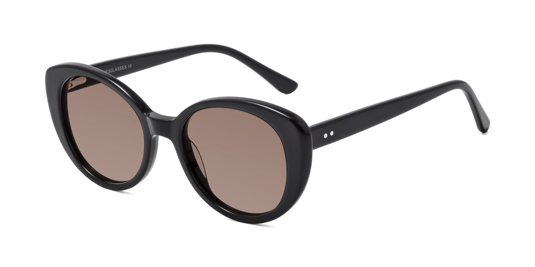 Angle of Pebble in Black with Medium Brown Tinted Lenses