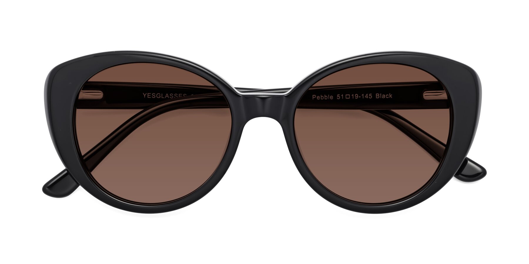 Folded Front of Pebble in Black with Brown Tinted Lenses