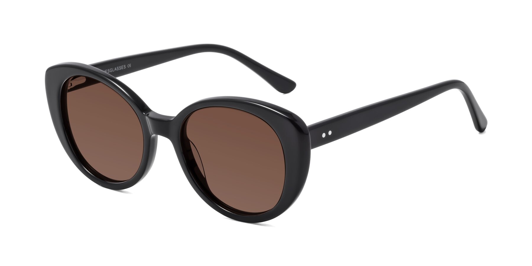 Angle of Pebble in Black with Brown Tinted Lenses