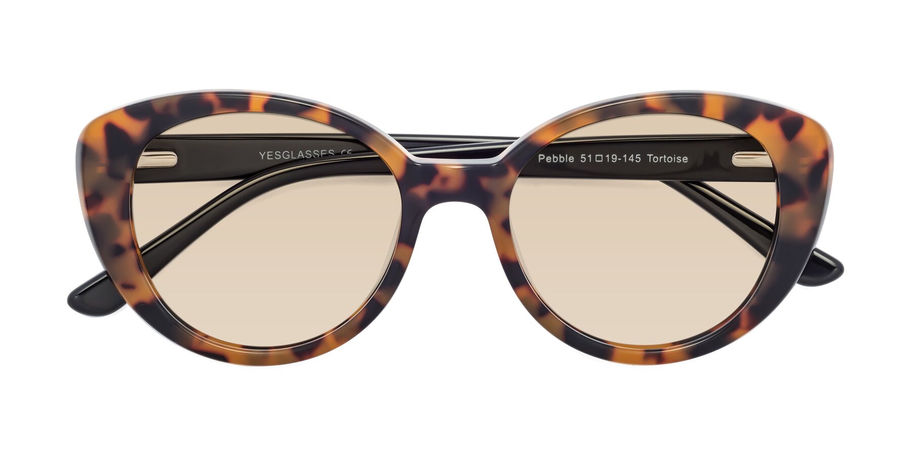Folded Front of Pebble in Tortoise with Light Brown Tinted Lenses