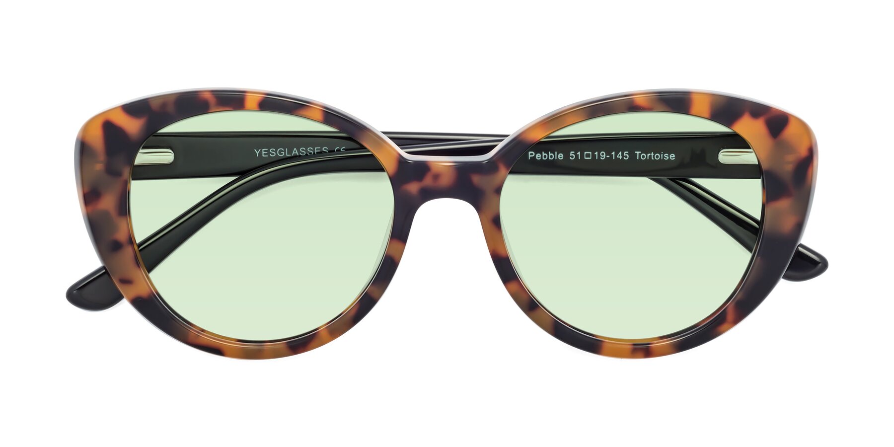 Folded Front of Pebble in Tortoise with Light Green Tinted Lenses