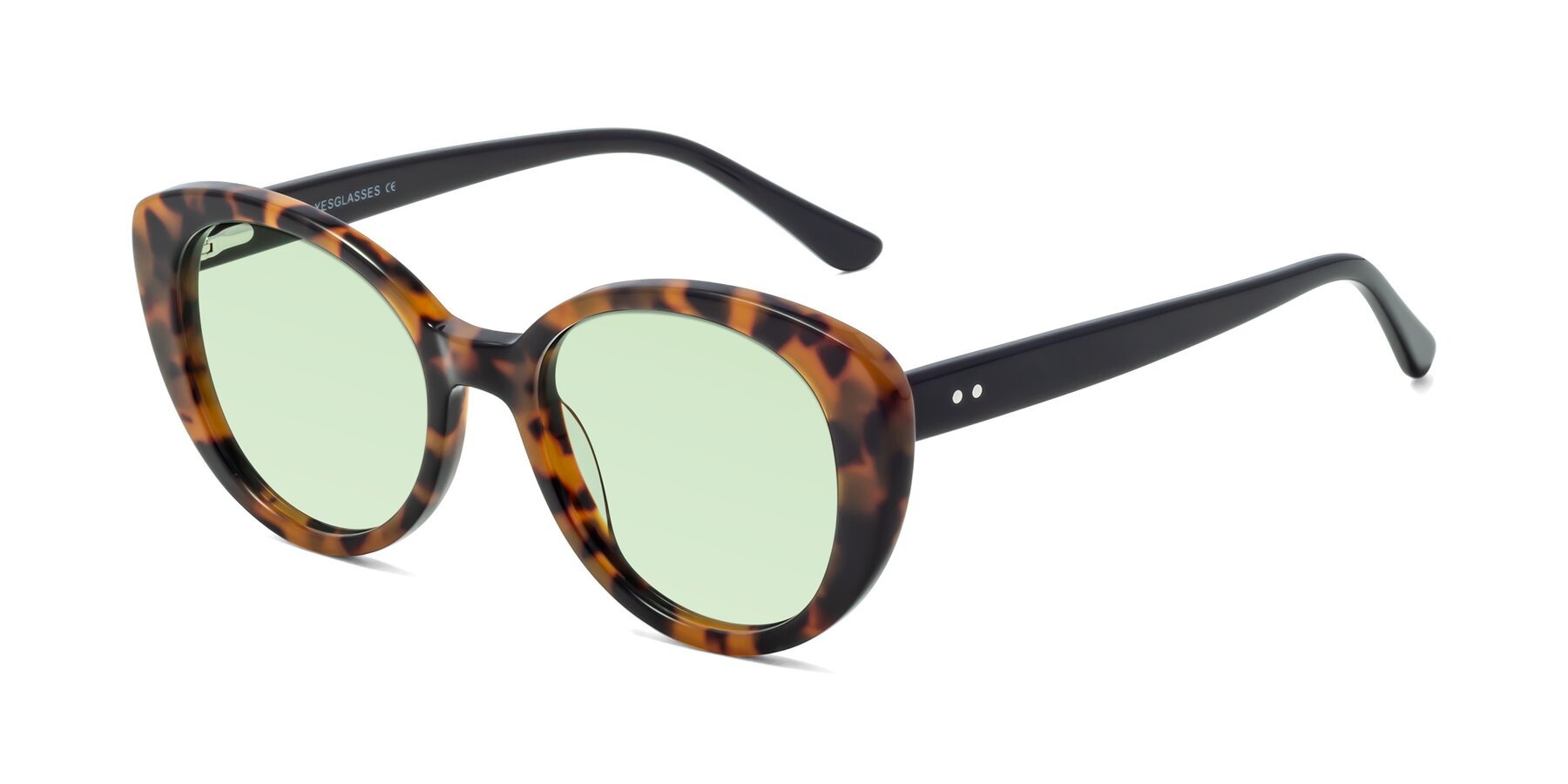 Angle of Pebble in Tortoise with Light Green Tinted Lenses