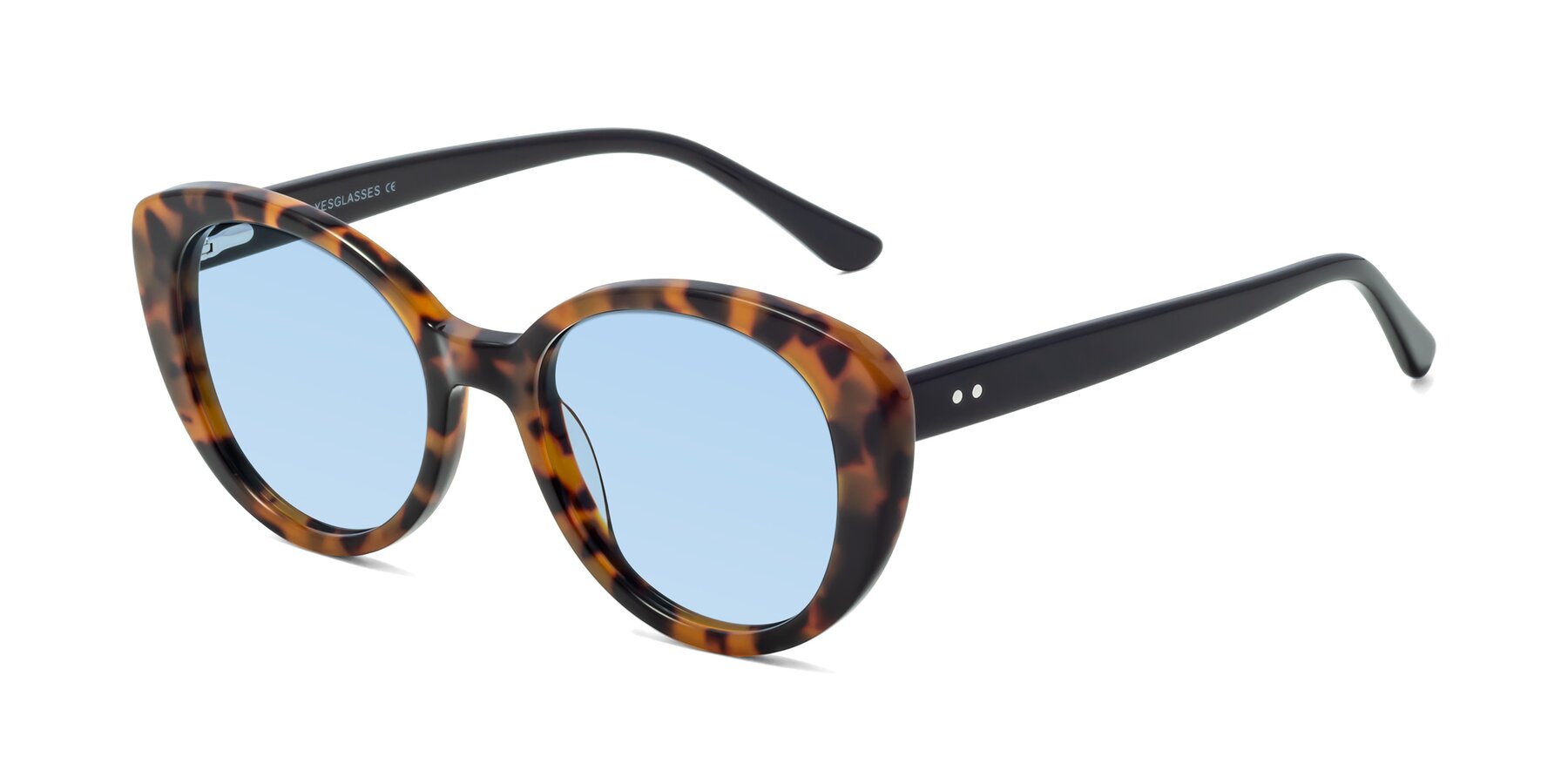 Angle of Pebble in Tortoise with Light Blue Tinted Lenses
