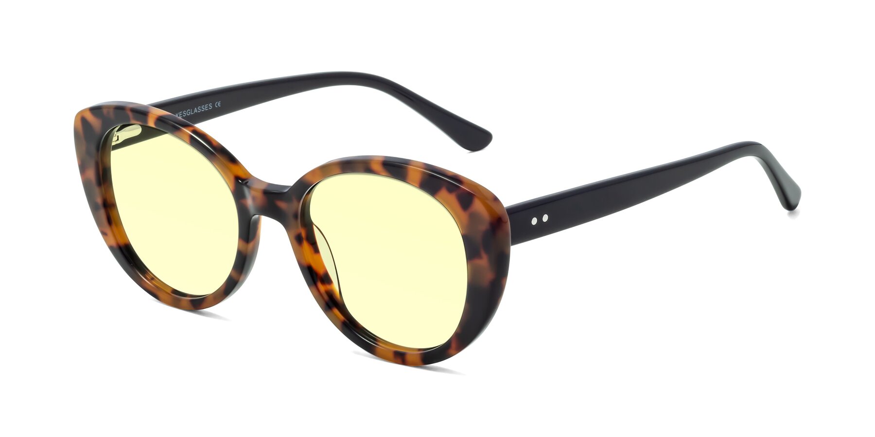 Angle of Pebble in Tortoise with Light Yellow Tinted Lenses