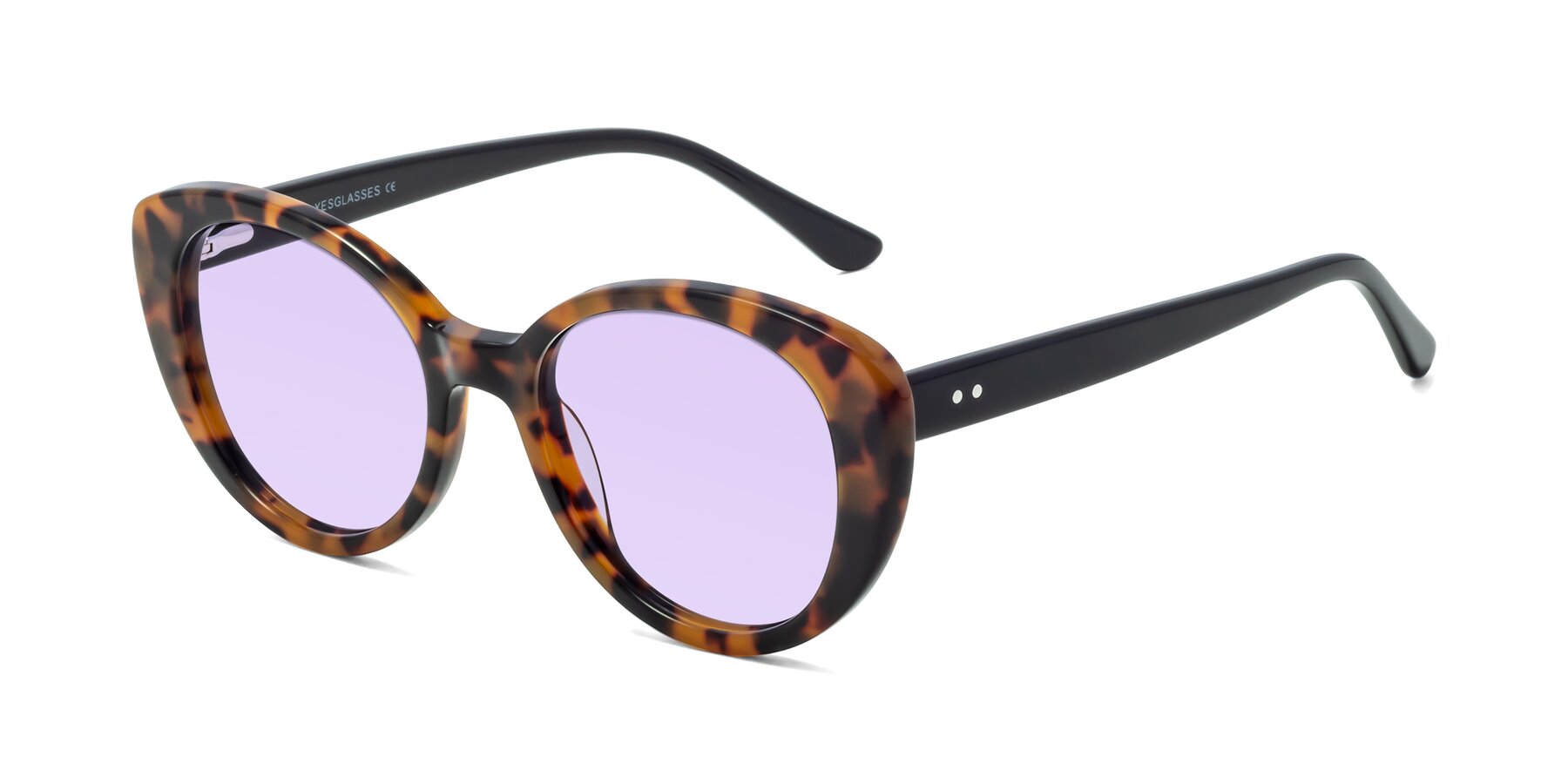 Angle of Pebble in Tortoise with Light Purple Tinted Lenses