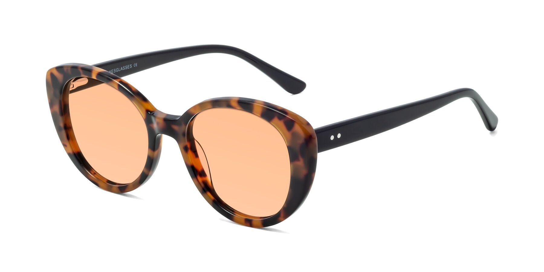 Angle of Pebble in Tortoise with Light Orange Tinted Lenses
