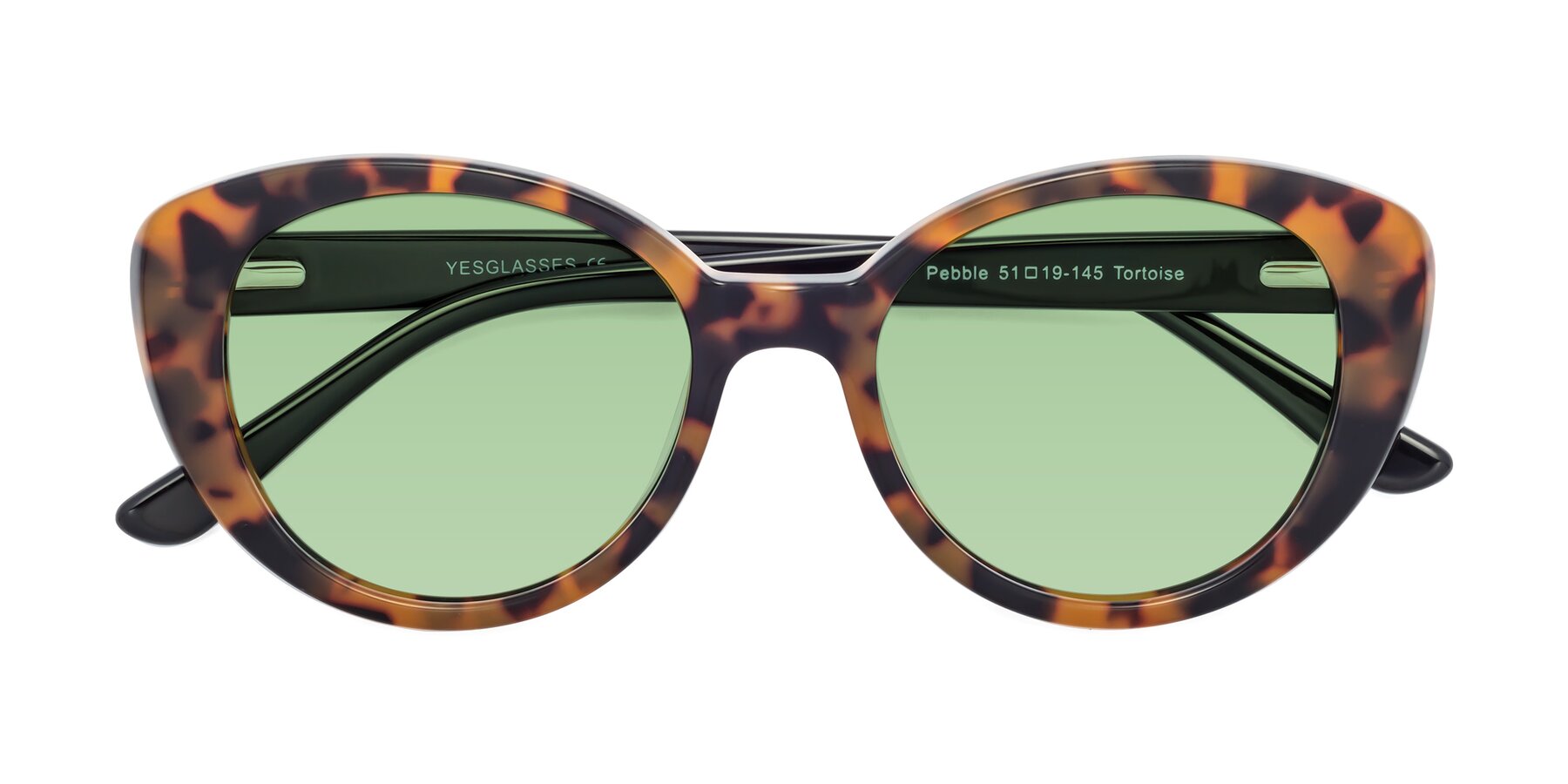 Folded Front of Pebble in Tortoise with Medium Green Tinted Lenses