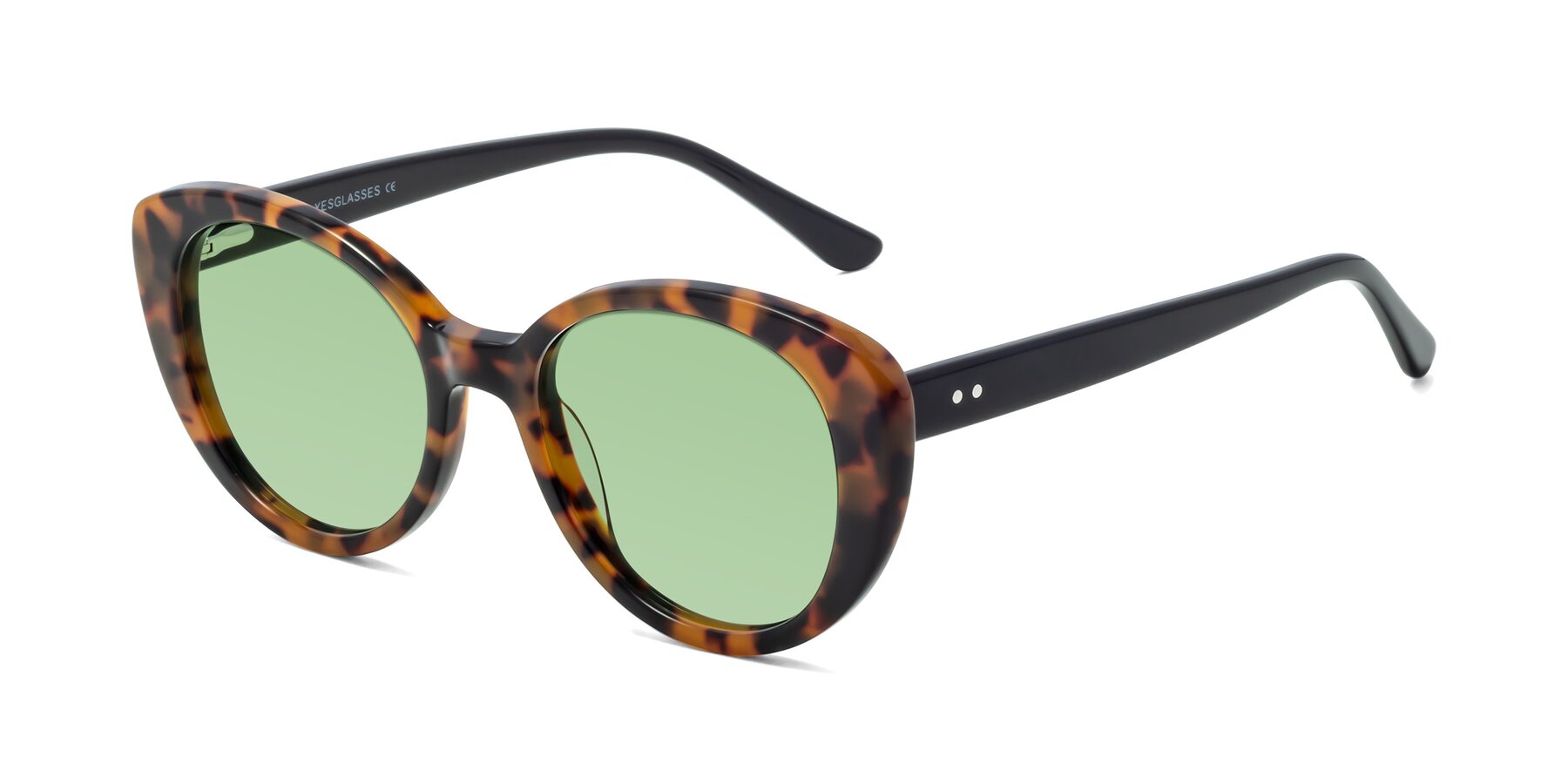 Angle of Pebble in Tortoise with Medium Green Tinted Lenses