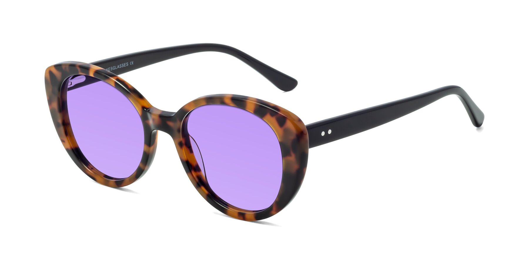 Angle of Pebble in Tortoise with Medium Purple Tinted Lenses