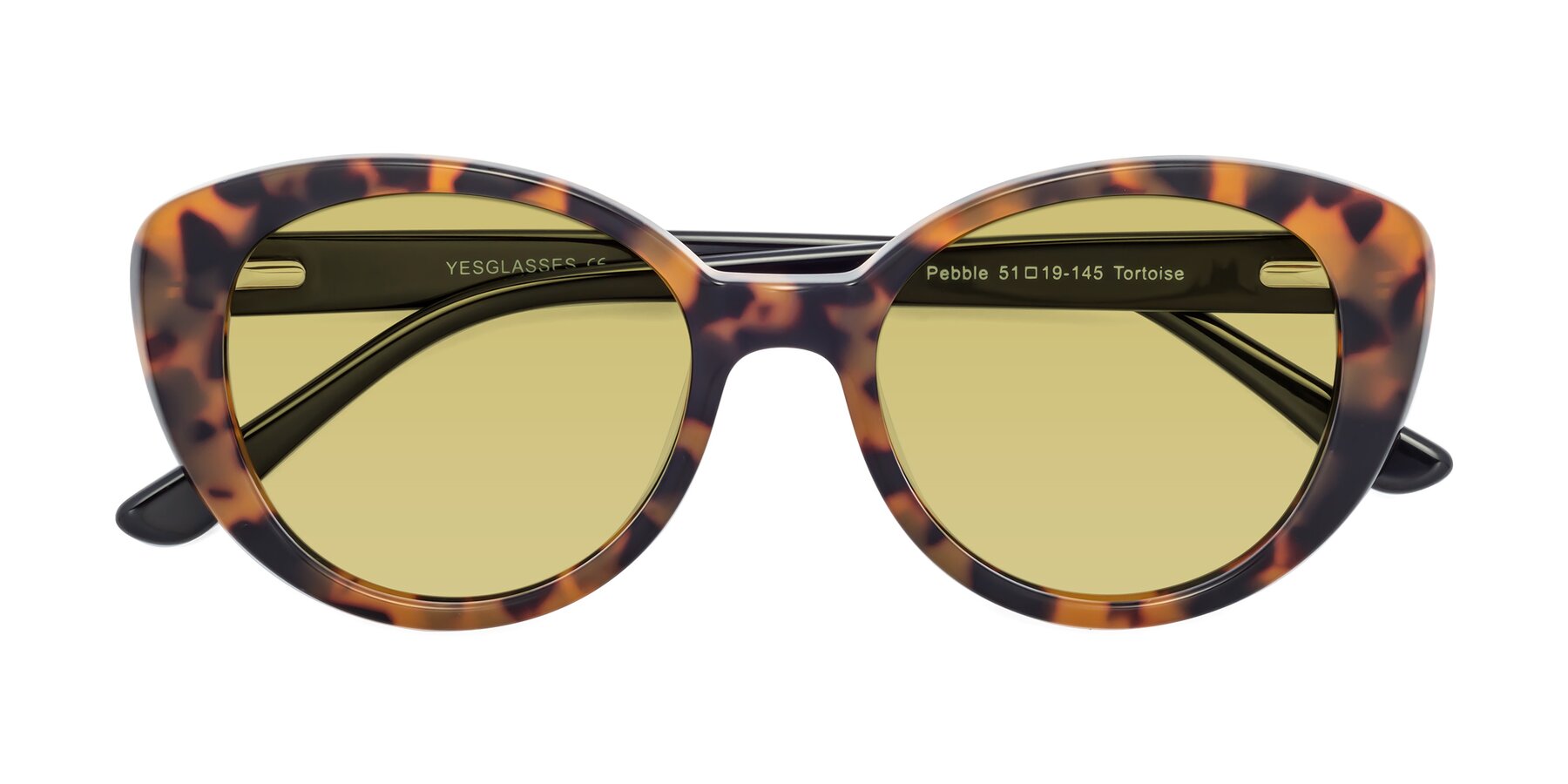 Folded Front of Pebble in Tortoise with Medium Champagne Tinted Lenses