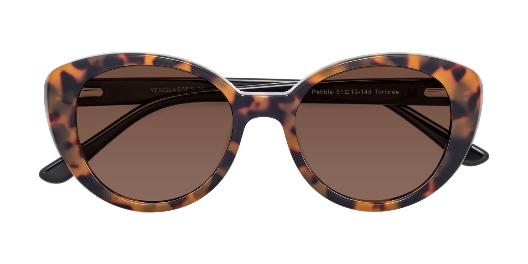 Folded Front of Pebble in Tortoise with Brown Tinted Lenses