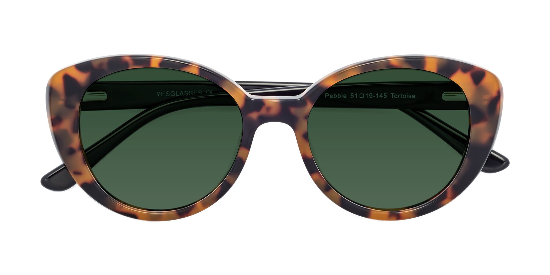 Folded Front of Pebble in Tortoise with Green Tinted Lenses