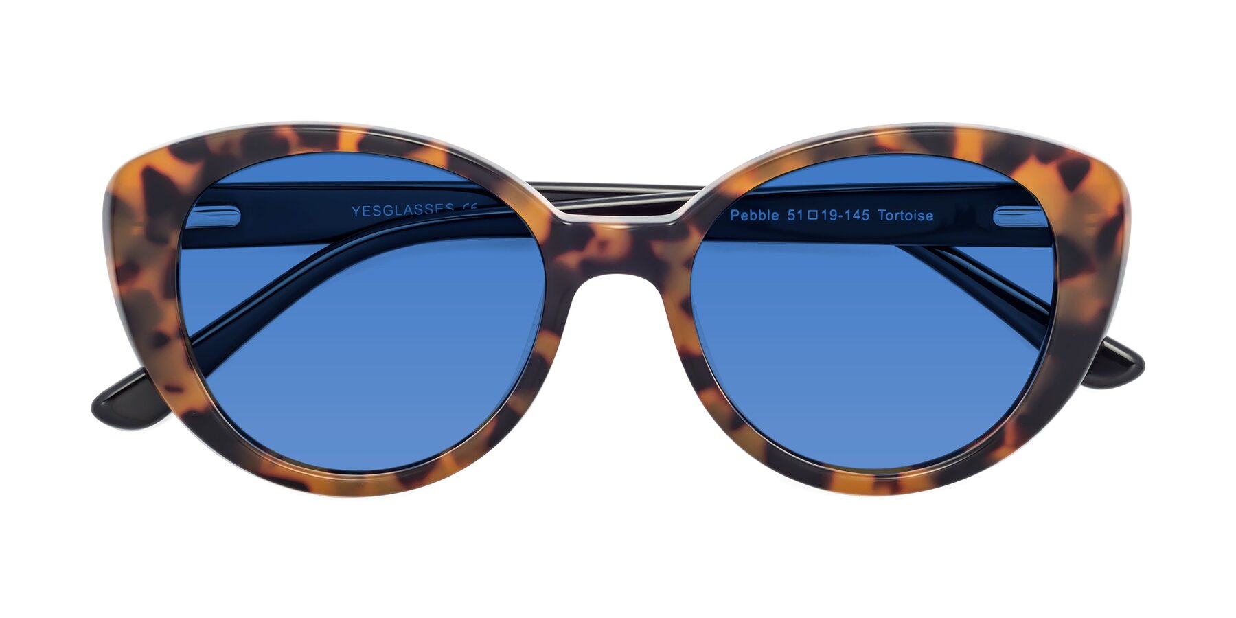 Folded Front of Pebble in Tortoise with Blue Tinted Lenses