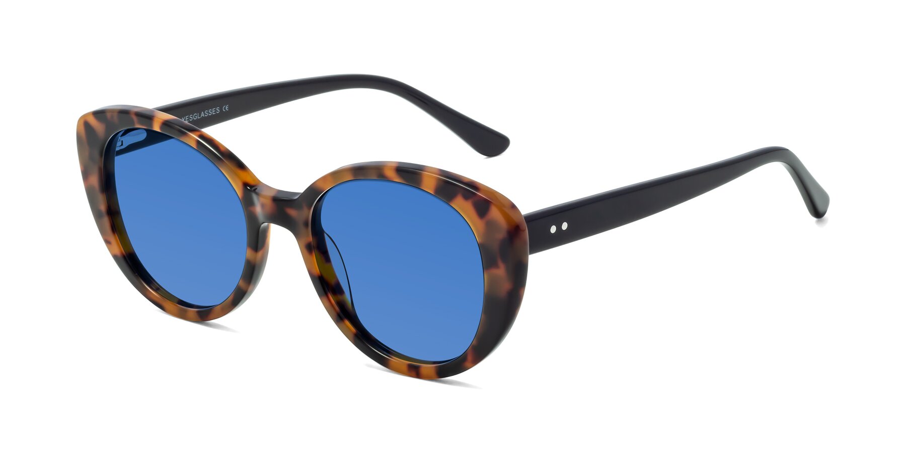 Angle of Pebble in Tortoise with Blue Tinted Lenses