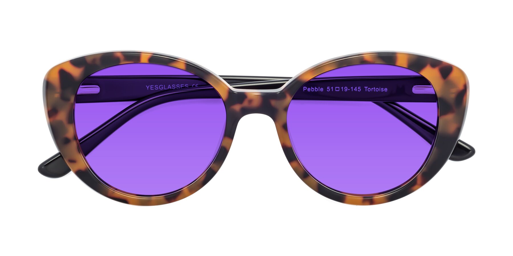 Folded Front of Pebble in Tortoise with Purple Tinted Lenses