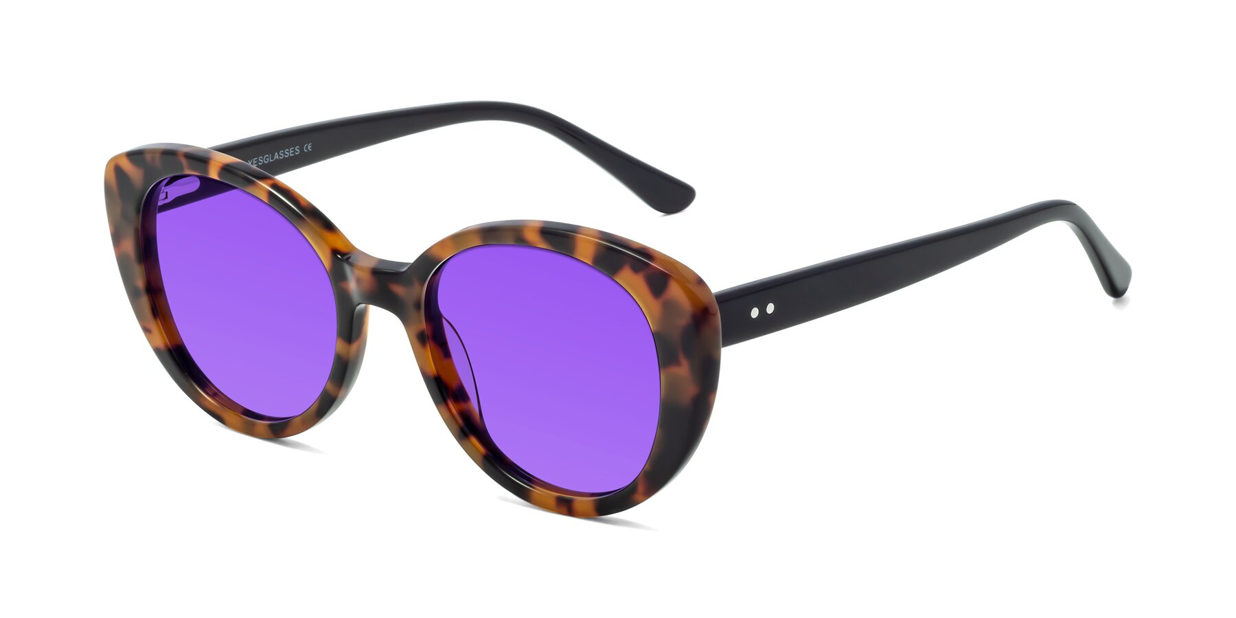 Angle of Pebble in Tortoise with Purple Tinted Lenses
