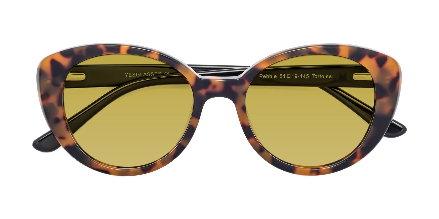Folded Front of Pebble in Tortoise with Champagne Tinted Lenses