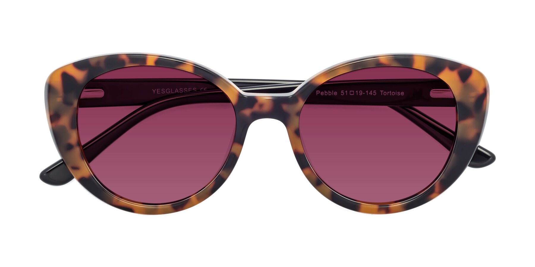 Folded Front of Pebble in Tortoise with Wine Tinted Lenses