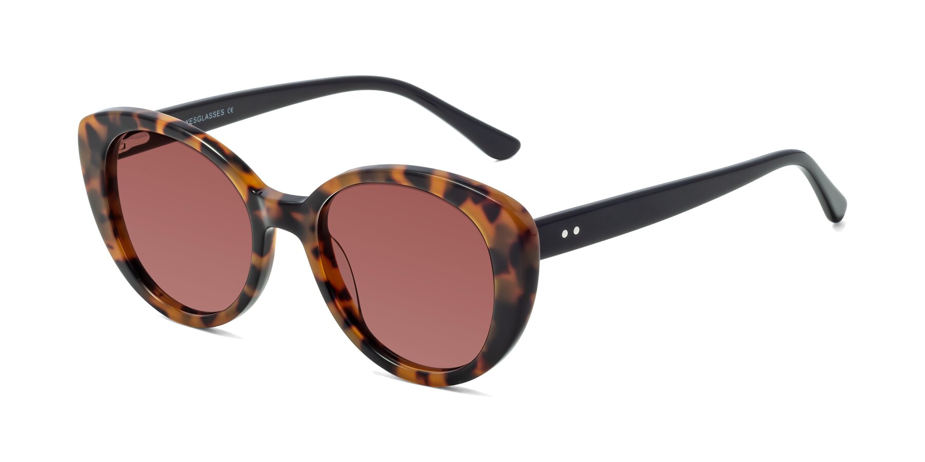 Angle of Pebble in Tortoise with Garnet Tinted Lenses