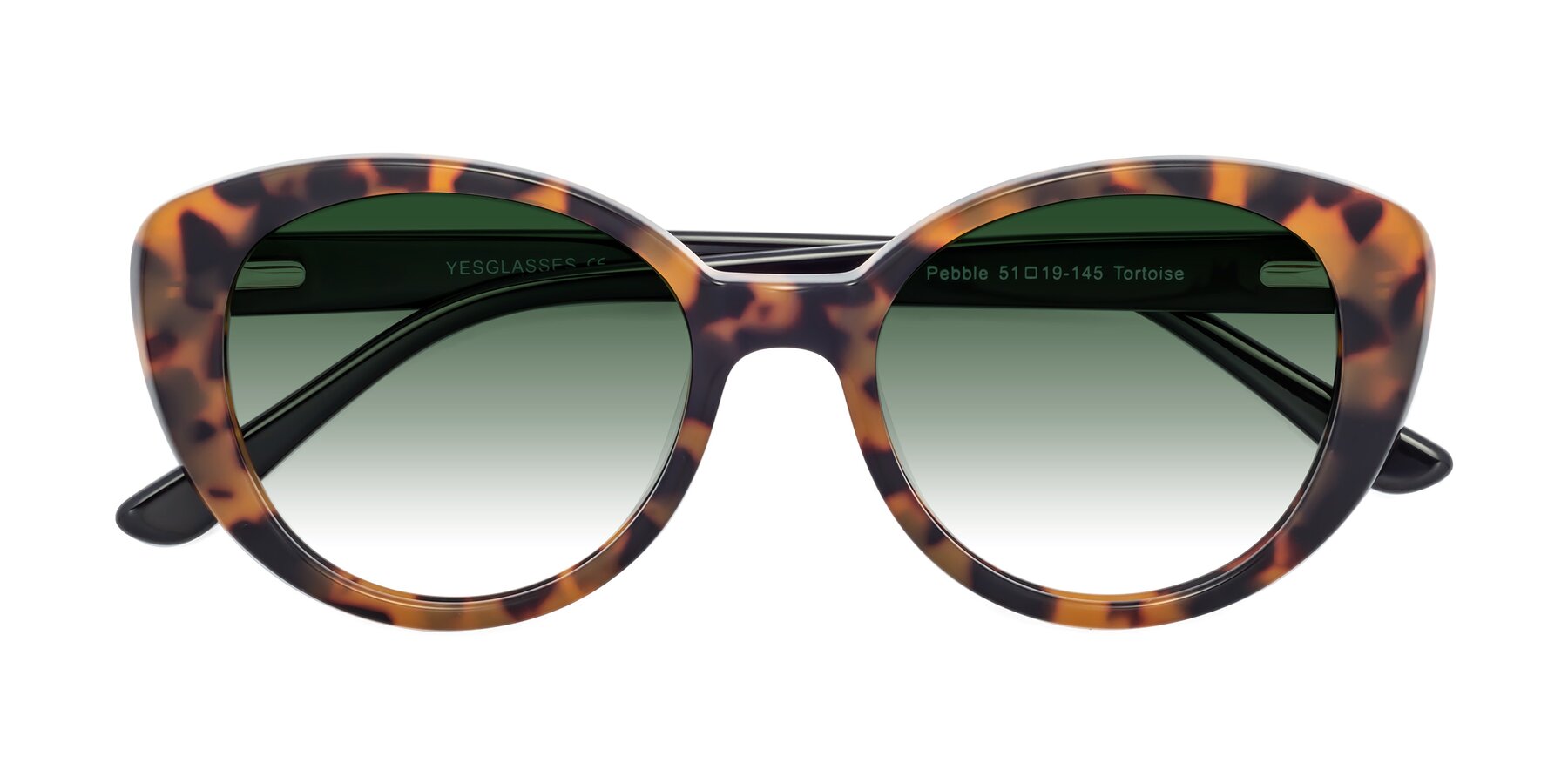 Folded Front of Pebble in Tortoise with Green Gradient Lenses