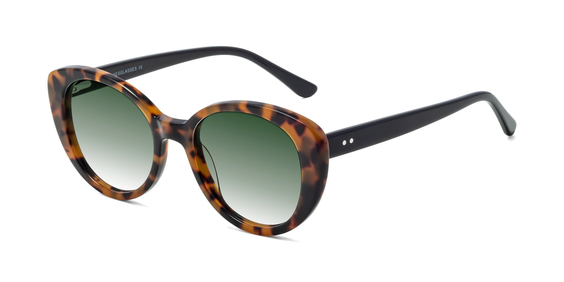 Angle of Pebble in Tortoise with Green Gradient Lenses