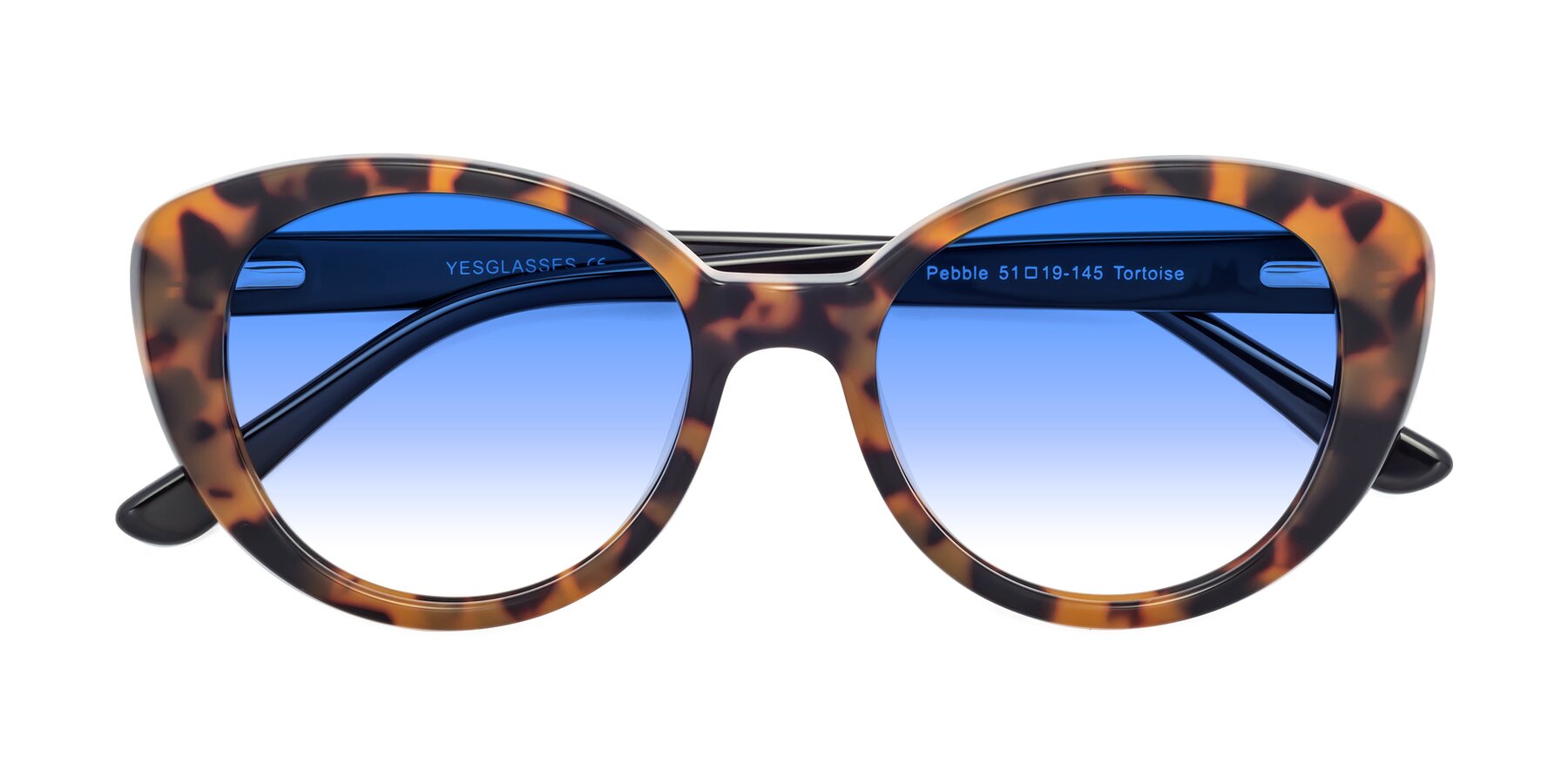 Folded Front of Pebble in Tortoise with Blue Gradient Lenses