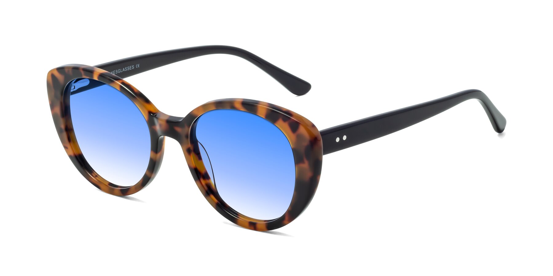 Angle of Pebble in Tortoise with Blue Gradient Lenses