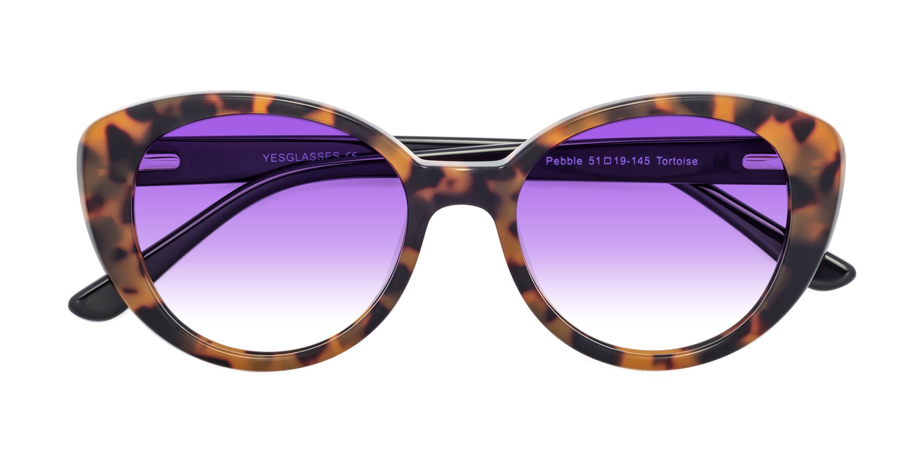 Folded Front of Pebble in Tortoise with Purple Gradient Lenses