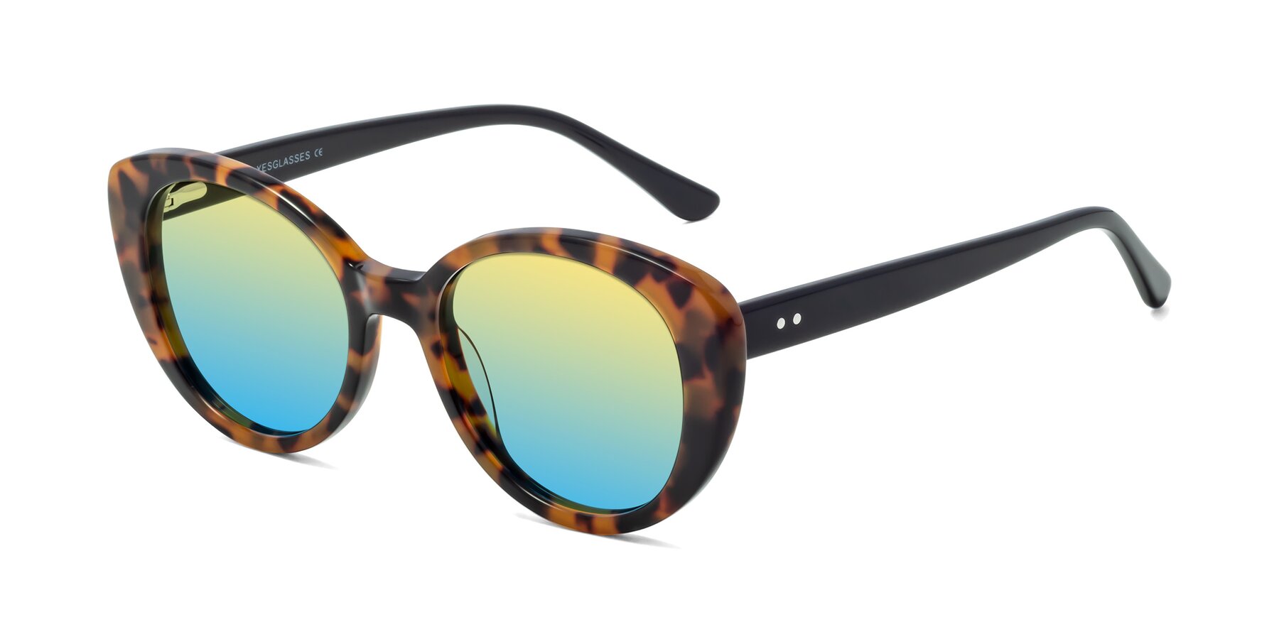 Angle of Pebble in Tortoise with Yellow / Blue Gradient Lenses