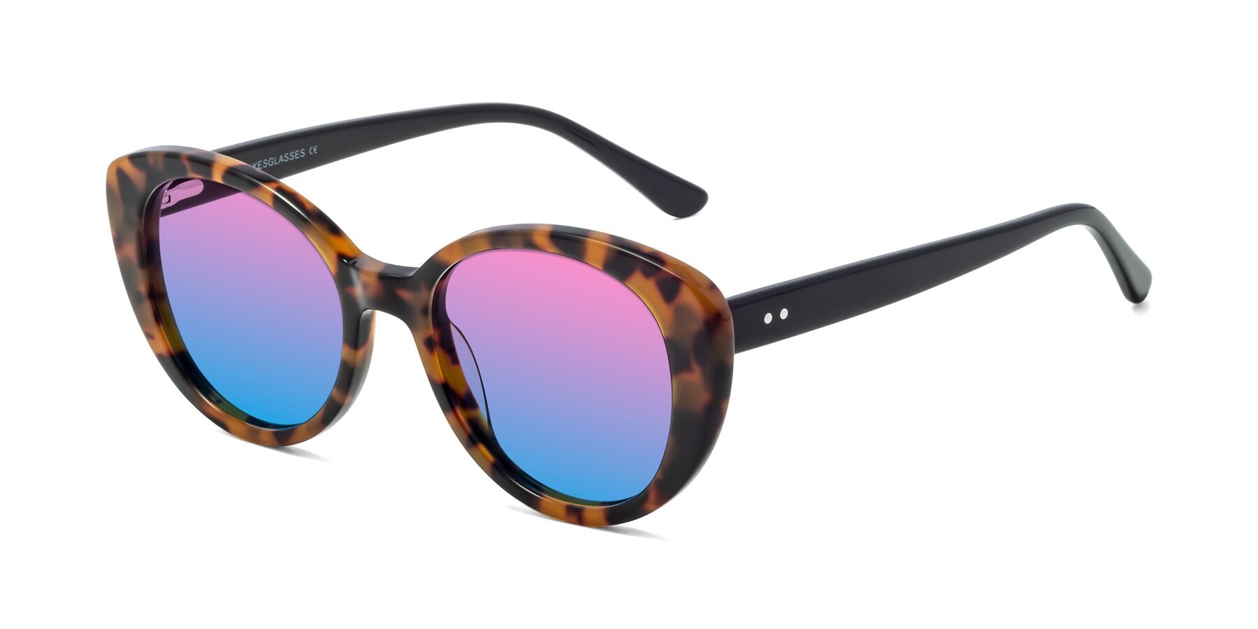 Angle of Pebble in Tortoise with Pink / Blue Gradient Lenses