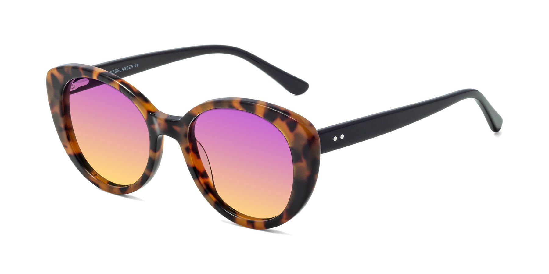 Angle of Pebble in Tortoise with Purple / Yellow Gradient Lenses