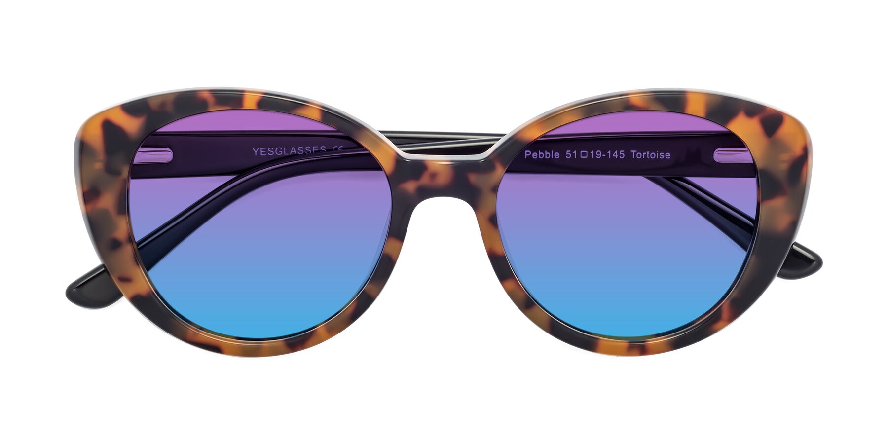 Folded Front of Pebble in Tortoise with Purple / Blue Gradient Lenses