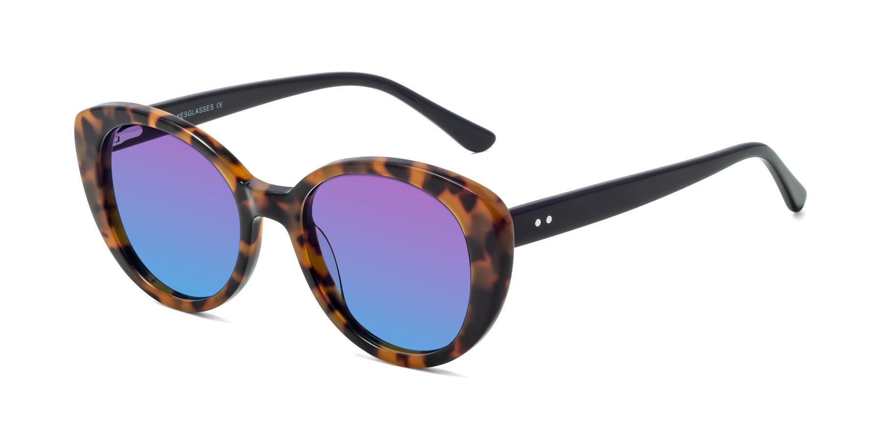 Angle of Pebble in Tortoise with Purple / Blue Gradient Lenses