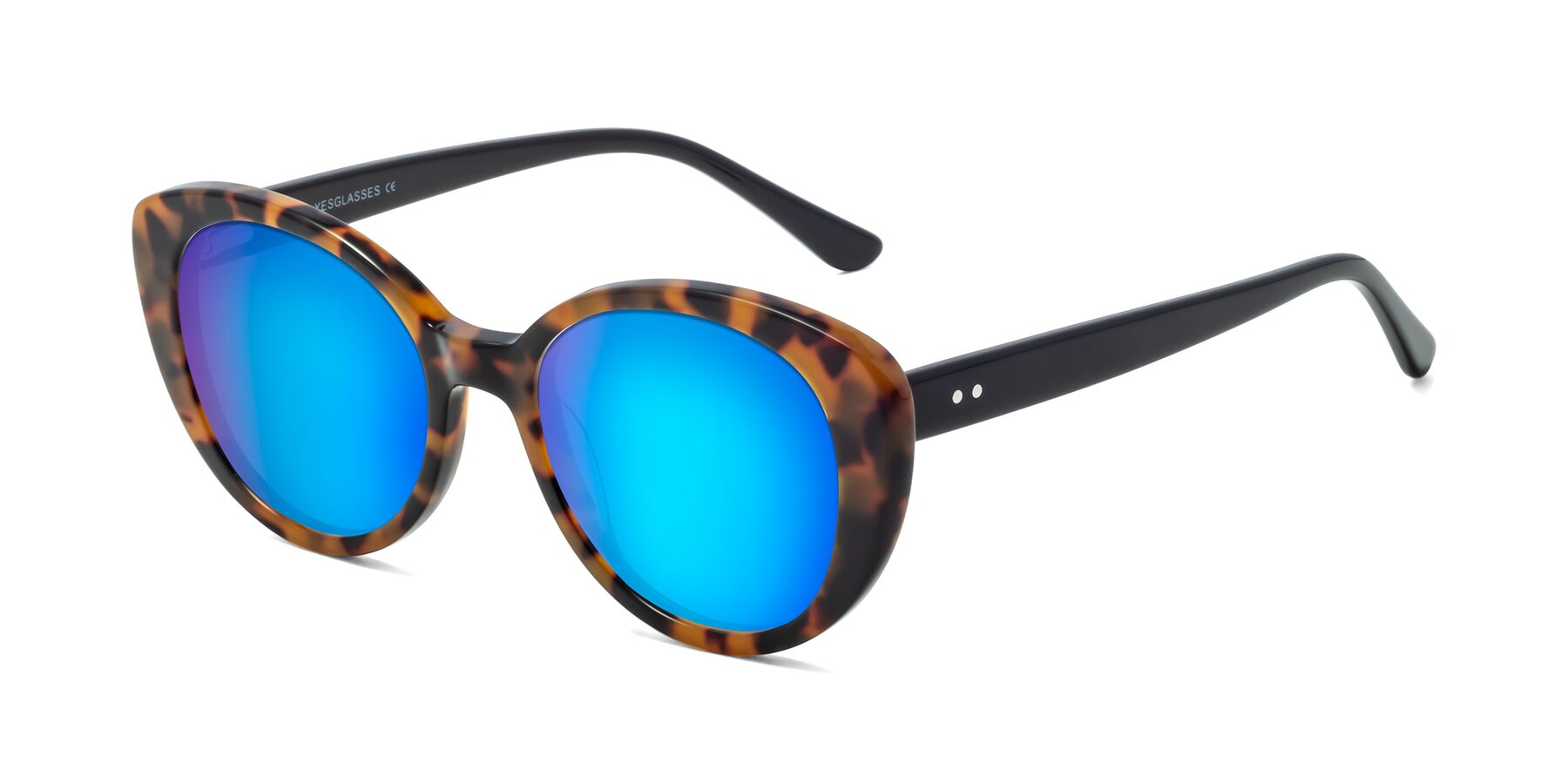 Angle of Pebble in Tortoise with Blue Mirrored Lenses