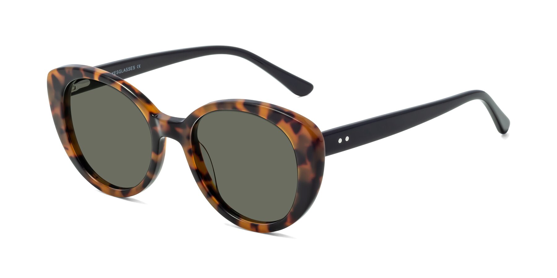 Angle of Pebble in Tortoise with Gray Polarized Lenses