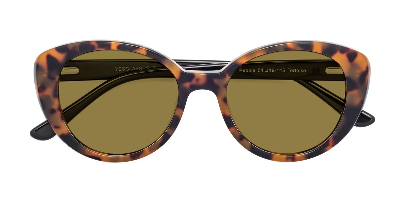Pebble - Tortoise Polarized Sunglasses