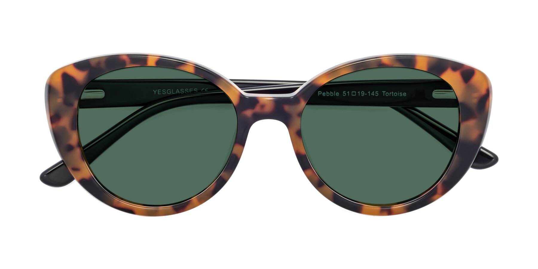 Folded Front of Pebble in Tortoise with Green Polarized Lenses