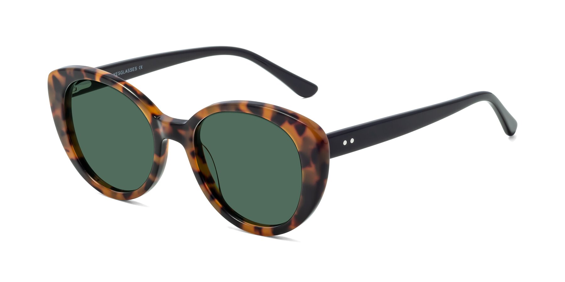 Angle of Pebble in Tortoise with Green Polarized Lenses