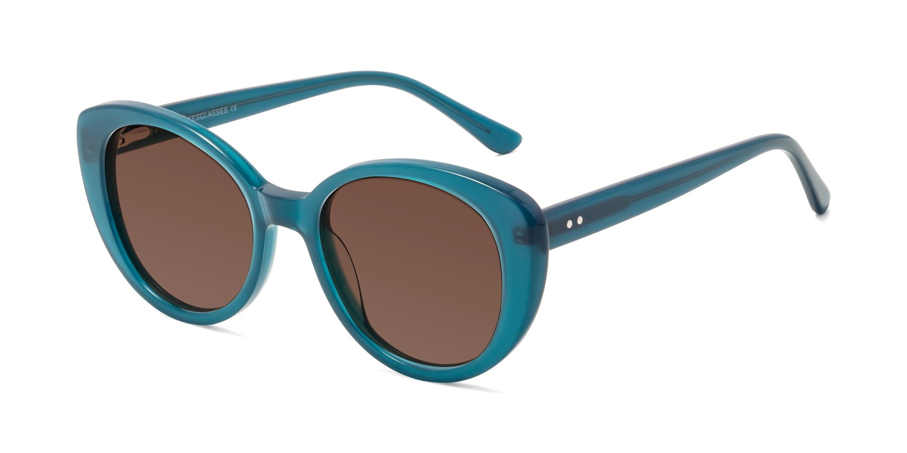 Angle of Pebble in Teal Blue with Brown Tinted Lenses